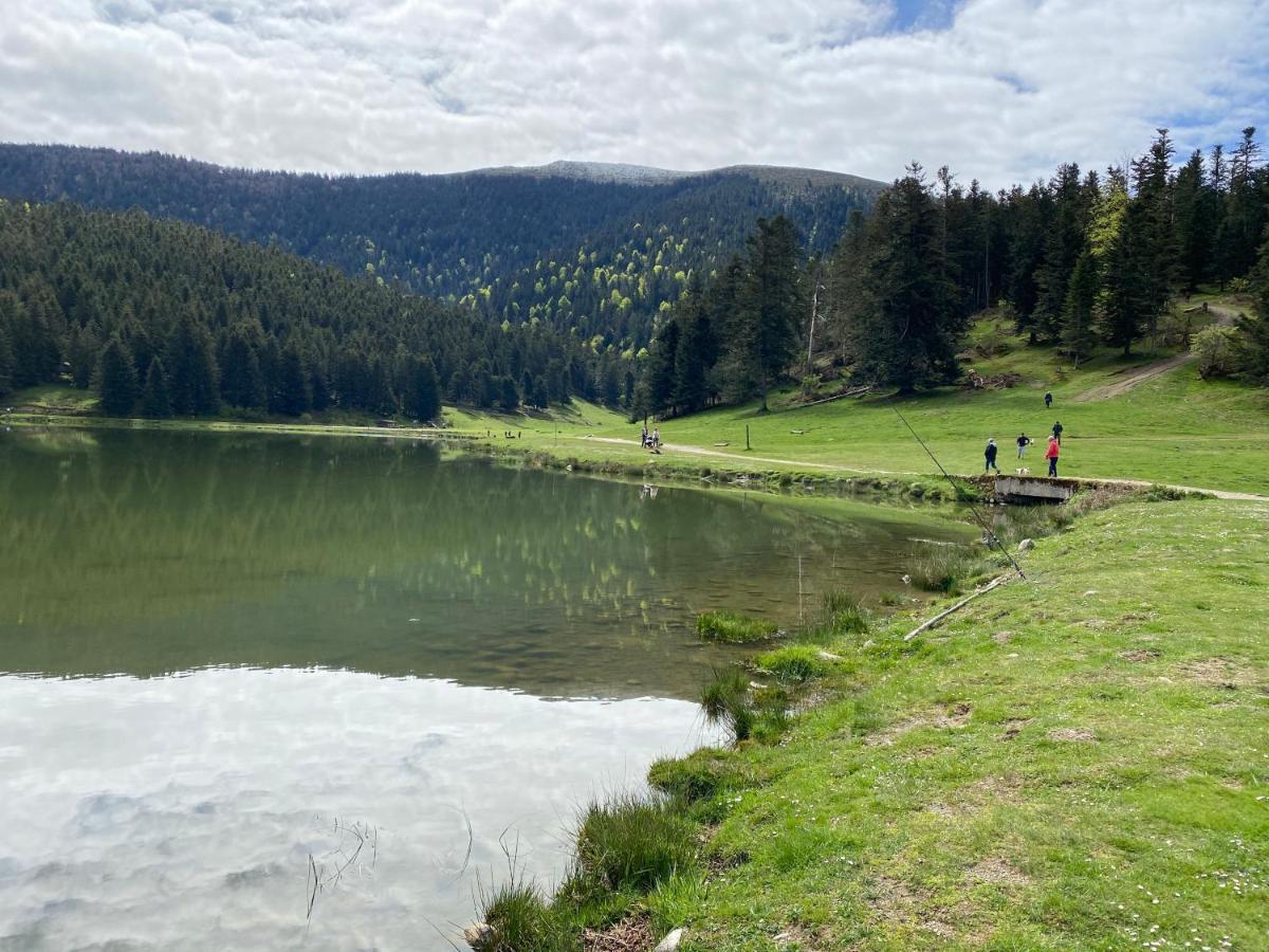 קמפן Gite Chaleureux Au Lac De Payolle מראה חיצוני תמונה